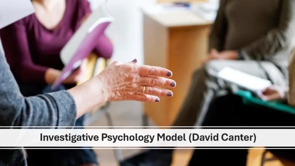 Investigative Psychology Model