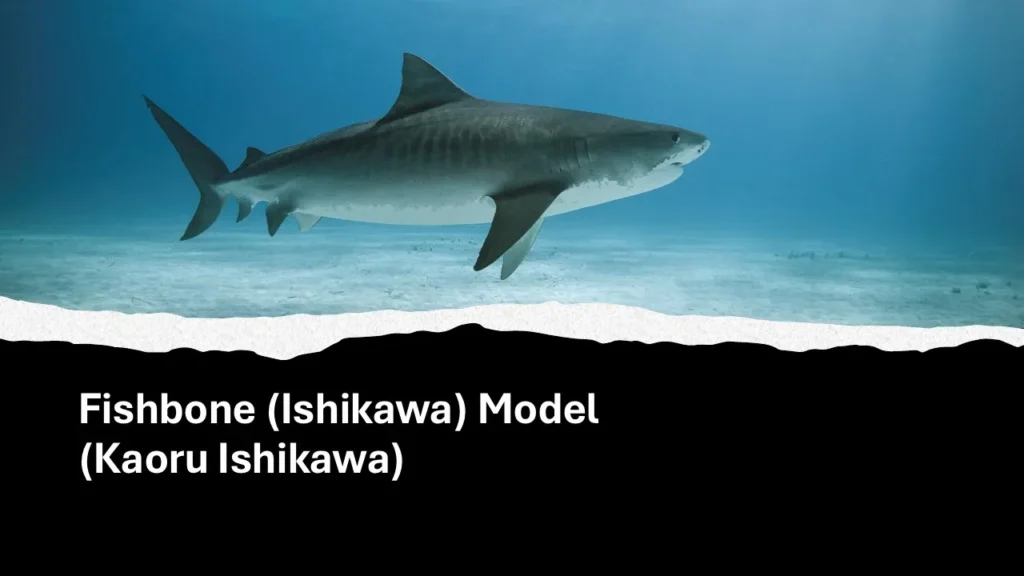 Fishbone (Ishikawa) Model