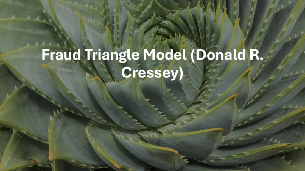 Fraud Triangle Model