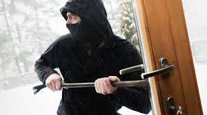 Theft and Property Crime Cases