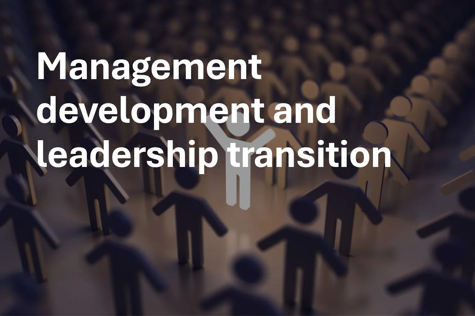 Management development and leadership transition