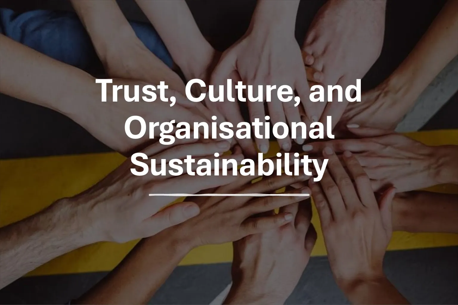 Trust, Culture, and Organisational Sustainability